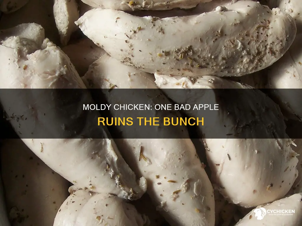 does one moldy piece of chicken ruin the rest