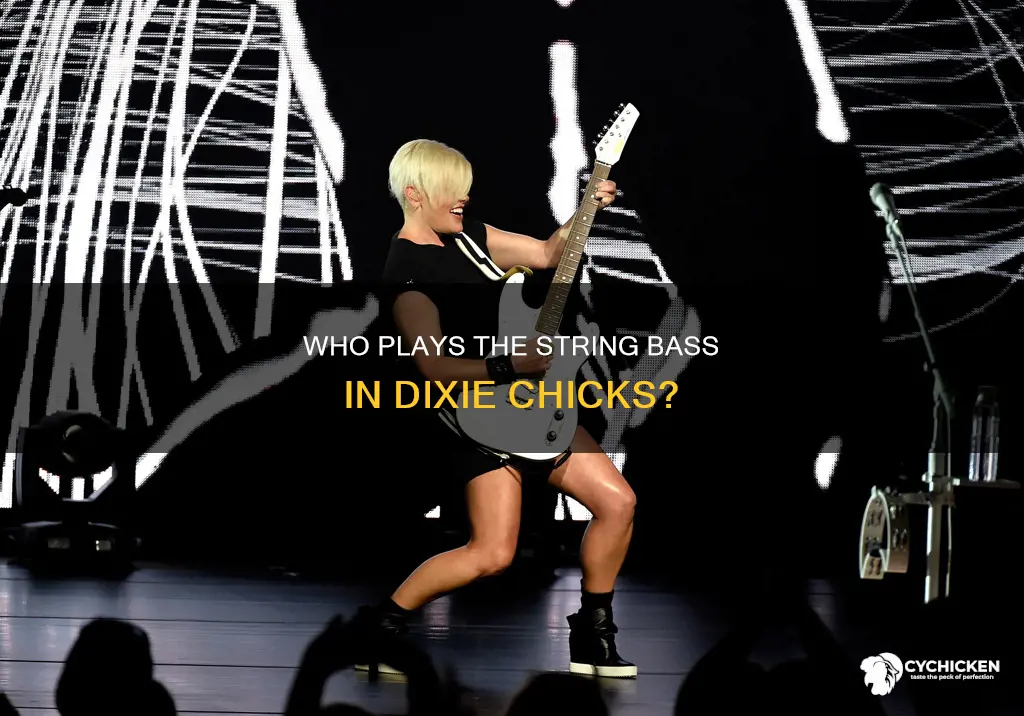 does one of the dixie chicks play the string bass