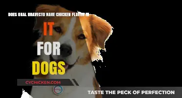 Bravecto Oral Chew for Dogs: Chicken Flavored?
