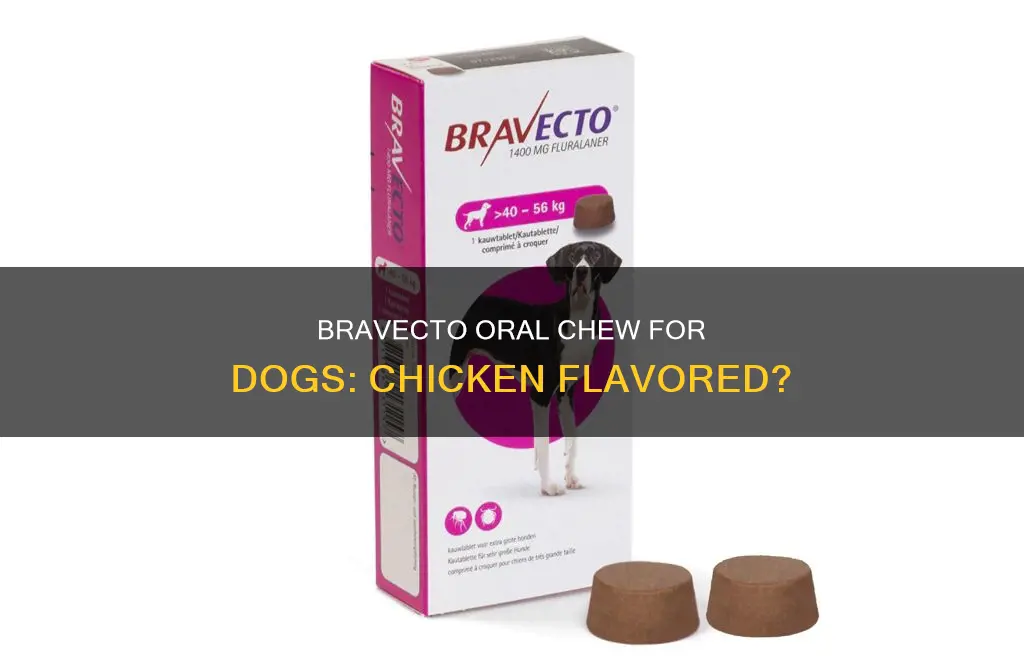 does oral bravecto have chicken flavor in it for dogs