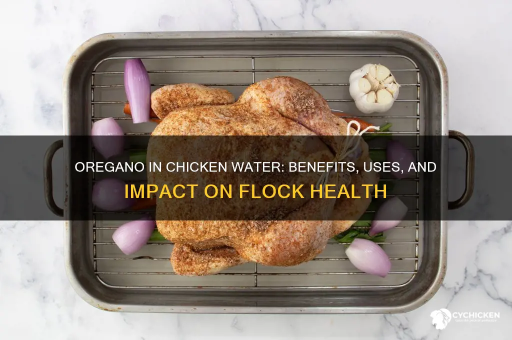 does oregano in chicken water help chickens