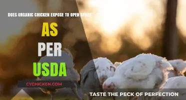 USDA Guidelines: Organic Chickens and Open Space