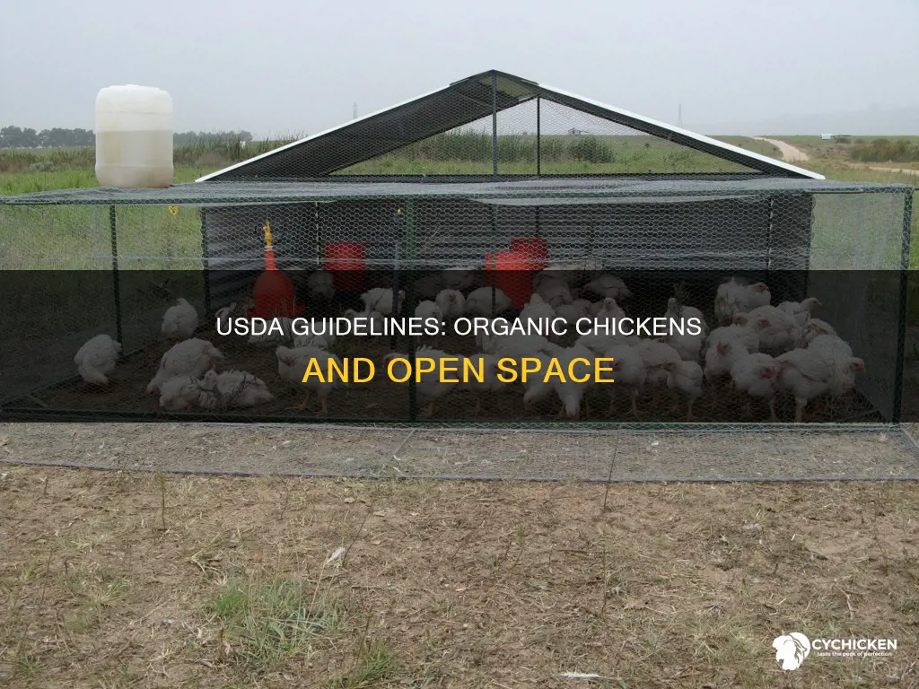does organic chicken expose to open space as per usda