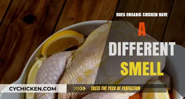 Organic Chicken Smell: Does It Differ from Conventional Poultry?