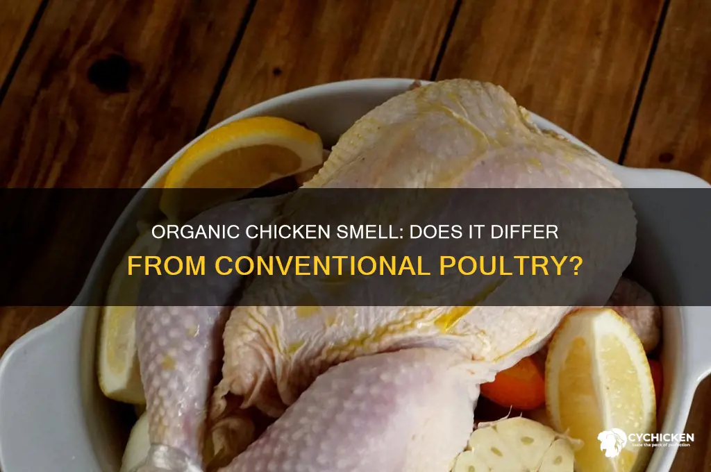 does organic chicken have a different smell