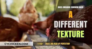 Organic Chicken Texture: How It Compares to Conventional Poultry