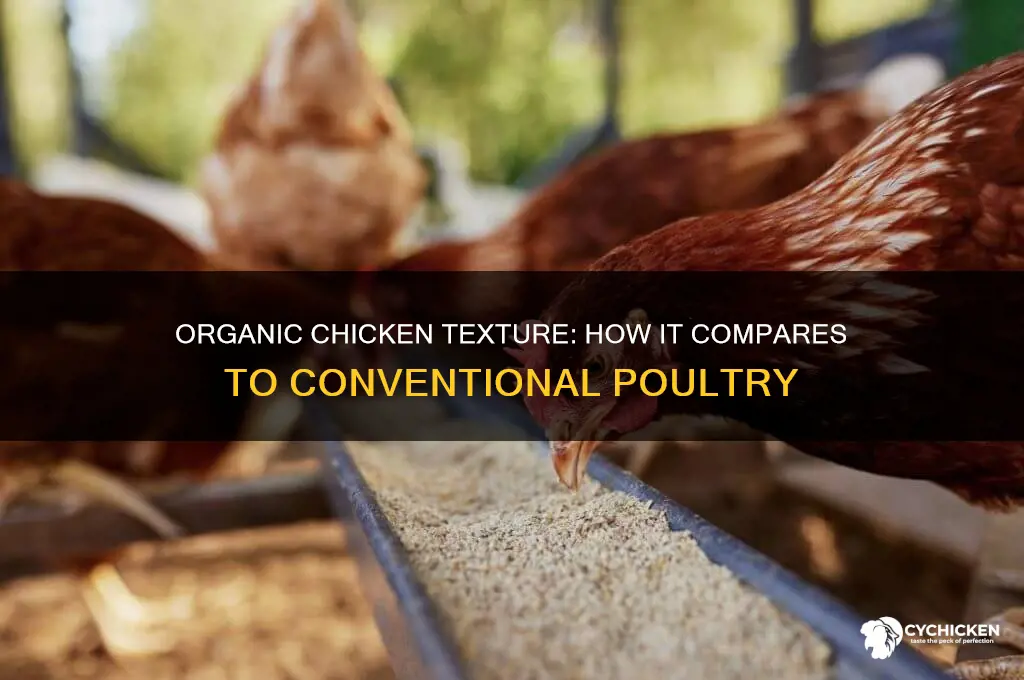 does organic chicken have a different texture