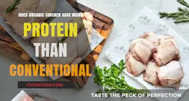 Organic vs. Conventional Chicken: Which Offers More Protein?