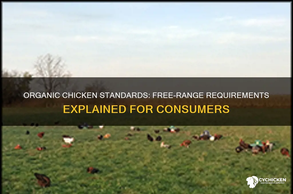 does organic chicken have requirements about free range