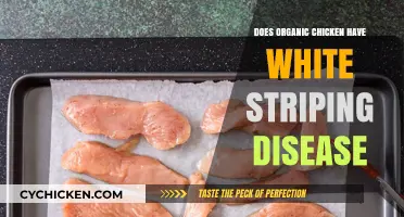 Organic Chicken and White Striping: Uncovering the Truth Behind the Disease