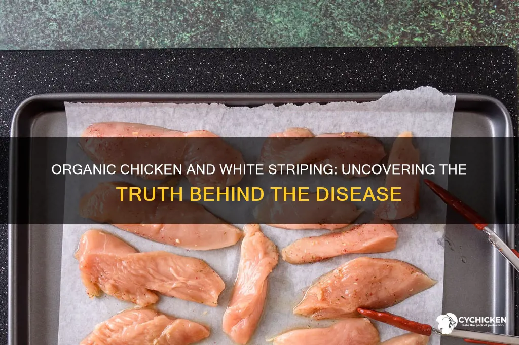 does organic chicken have white striping disease