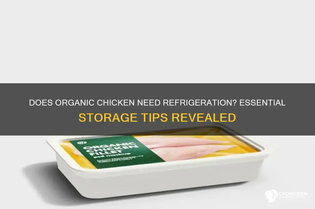 does organic chicken need to be refrigerated