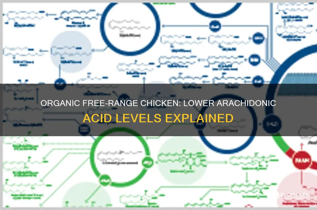 does organic free range chicken less arachidonic acid