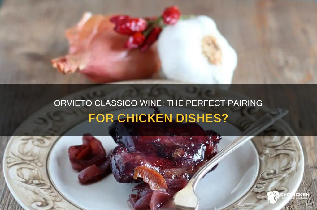 does orvieto classico wine go with chicken