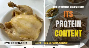 Overcooking Chicken: Does It Reduce Protein Content? Facts Revealed