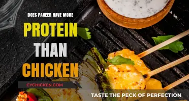 Paneer vs. Chicken: Which Protein Source Packs More Punch?