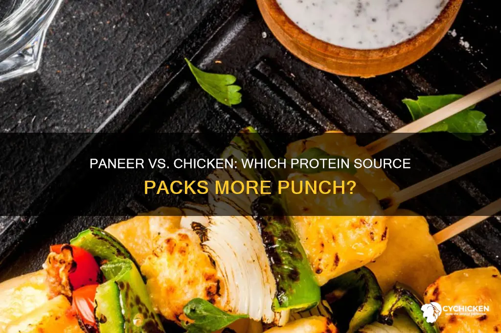 does paneer have more protein than chicken