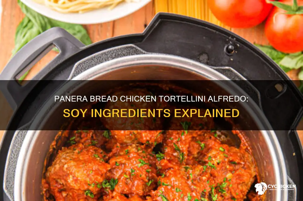 does panera bread chicken tortellni alfrado have soy