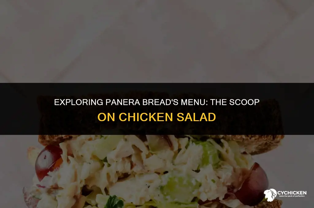 does panera bread have chicken salad