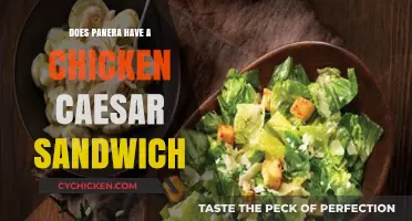 Does Panera Offer a Chicken Caesar Sandwich? Find Out Here