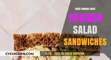 Savoring Panera: The Scoop on Their Chicken Salad Sandwiches