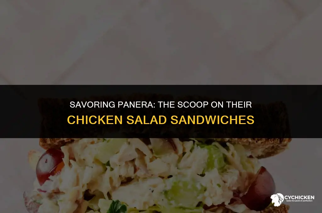 does panera have chicken salad sandwiches