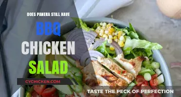 Savoring the Flavor: Panera's BBQ Chicken Salad Update