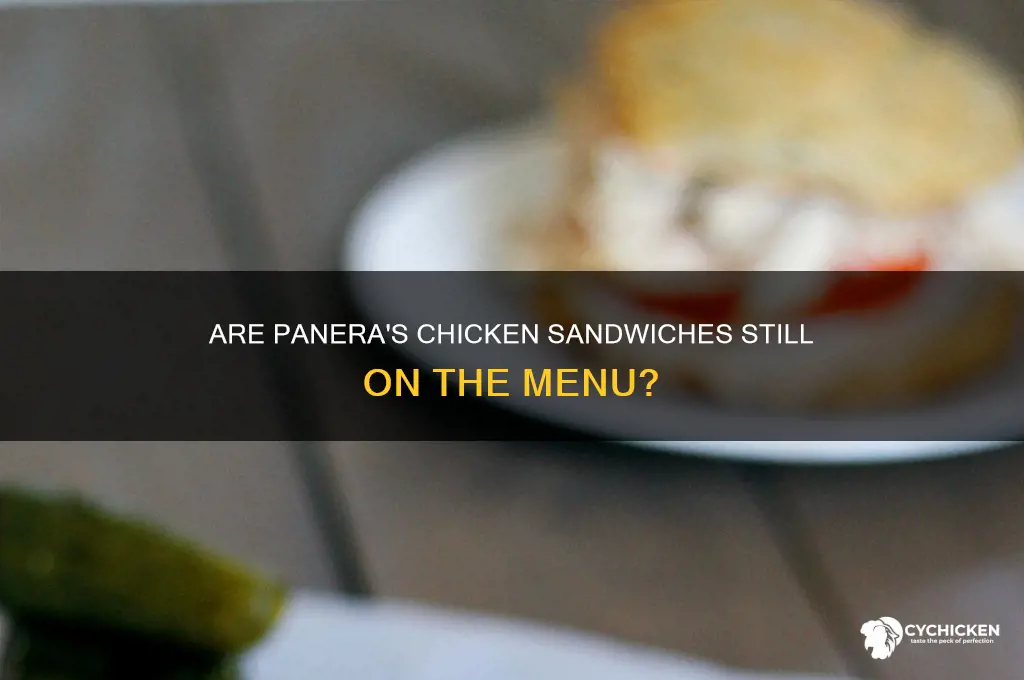 does panera still have chicken sandwiches