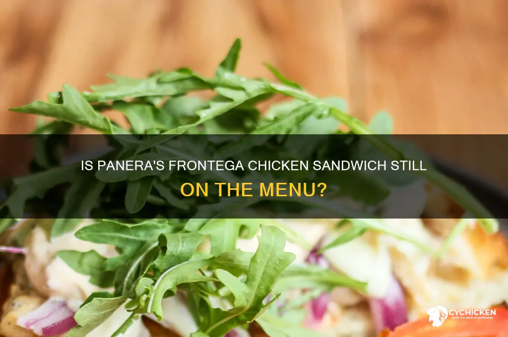 does panera still have frontega chicken sandwich