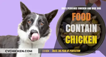 Pedigree Chicken and Rice: Real or Fake Meat?