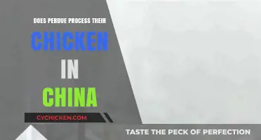 Is Perdue Chicken Processed in China? Uncovering the Truth