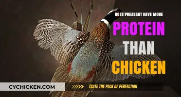 Pheasant vs. Chicken: Which Offers More Protein per Serving?