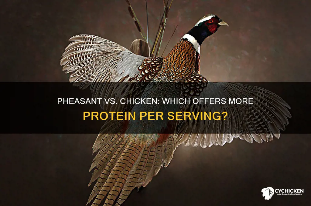 does pheasant have more protein than chicken