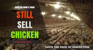 Does Pilgrim's Pride Still Sell Chicken? Answering Your Poultry Questions