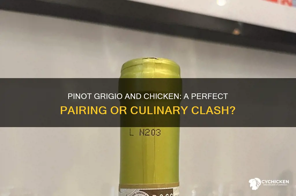 does pinot grigio pair well with chicken