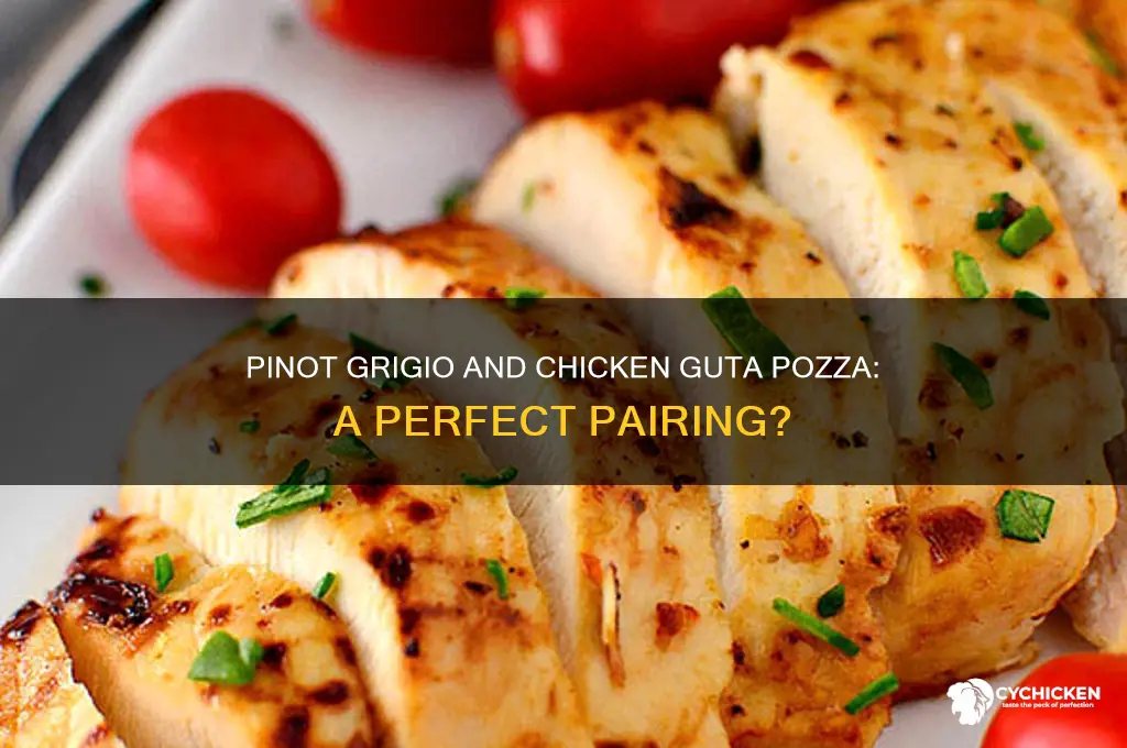 does pinot grigio pair with chicken guta pozza