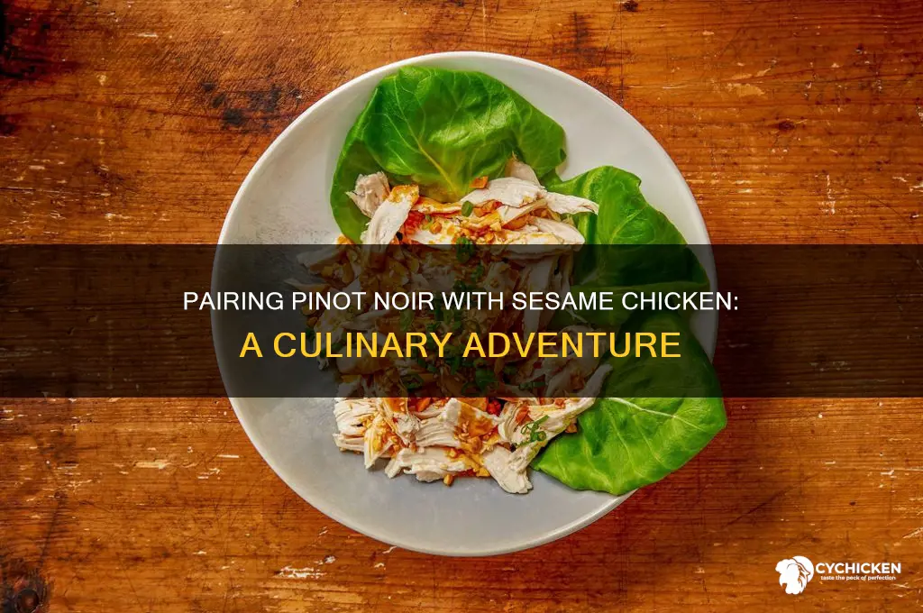 does pinot noir go with sesame chicken