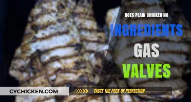 Does Plain Chicken Without Ingredients Affect Gas Valves? Explained