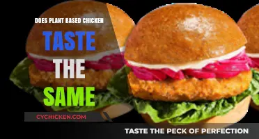 Does Plant-Based Chicken Match the Taste of Real Chicken?