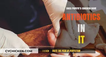 Popeye's Chicken Antibiotics: What You Need to Know