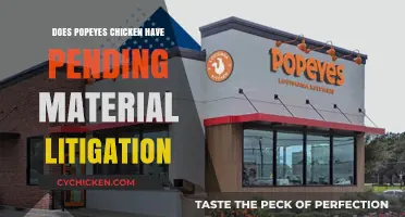Popeyes Chicken: Pending Material Litigation and Legal Challenges Explained