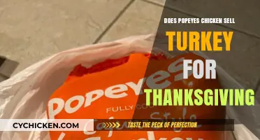 Popeyes Thanksgiving Turkey: Is It on the Menu This Holiday Season?