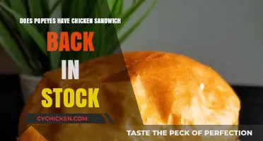 Popeyes Chicken Sandwich Returns: Is It Back in Stock?
