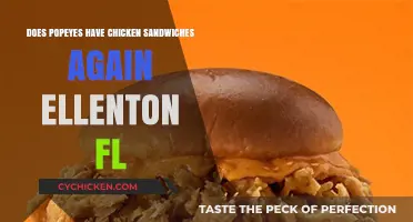Popeyes Chicken Sandwiches Return to Ellenton, FL: What to Know