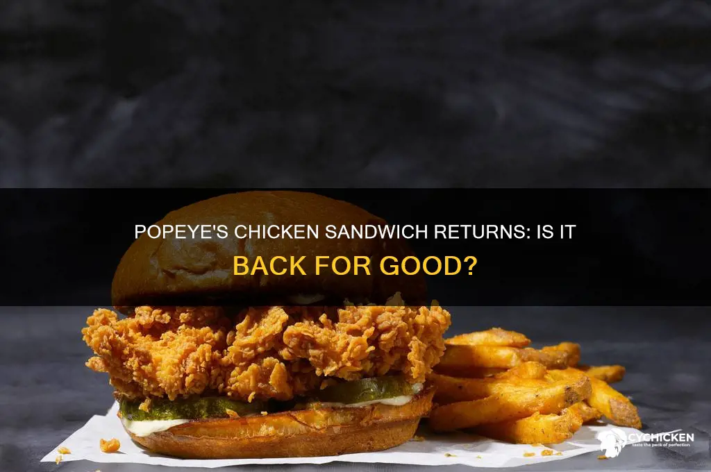 does popeye