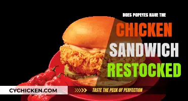 Popeyes Chicken Sandwich Restocked: Availability and Updates for Fans