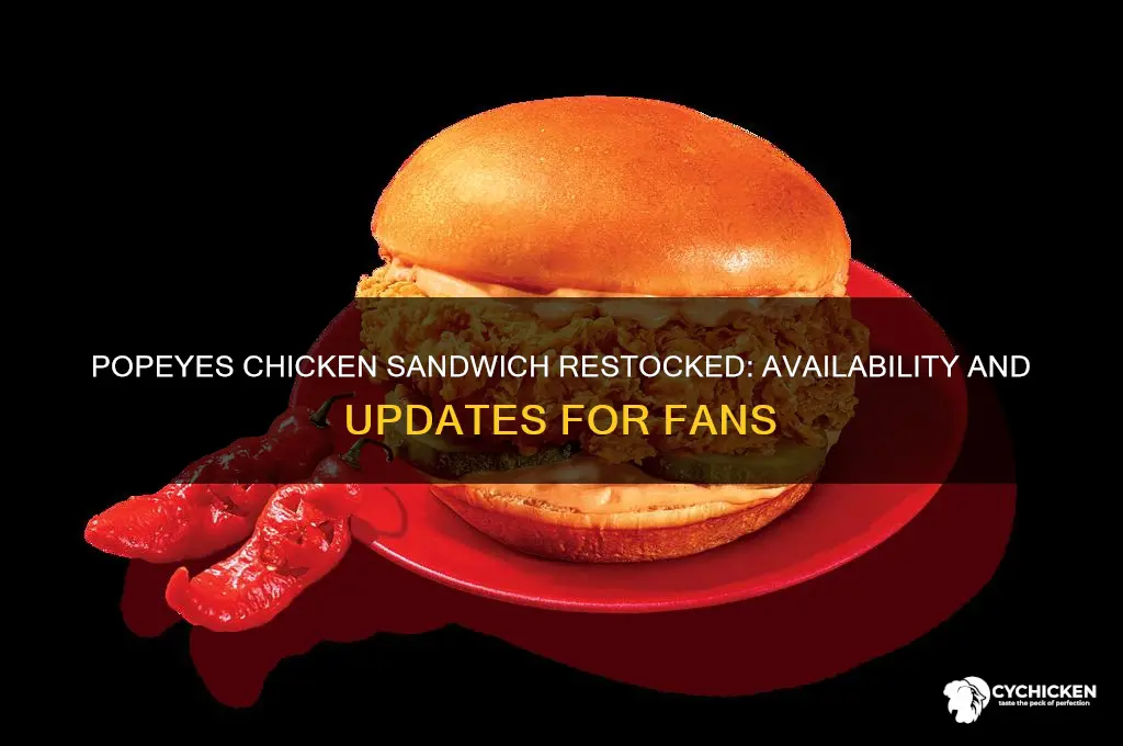 does popeyes have the chicken sandwich restocked
