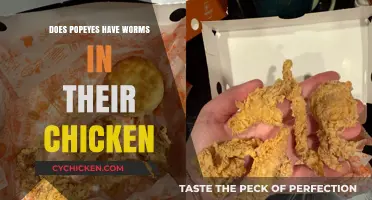 Popeyes Chicken and Worm Rumors: Separating Fact from Fiction