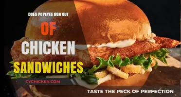 Popeyes Chicken Sandwich Shortages: Why They Happen and How to Avoid Them