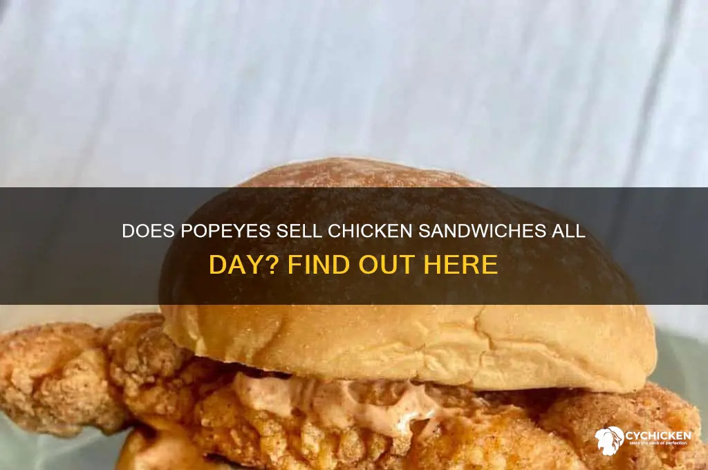 does popeyes sell chicken sandwhich all day